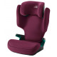 Burgundy Red